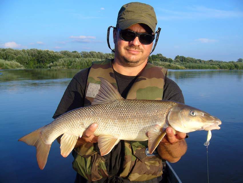 Рыбалка на реке кубань: уловистые места и отзывы рыбаков