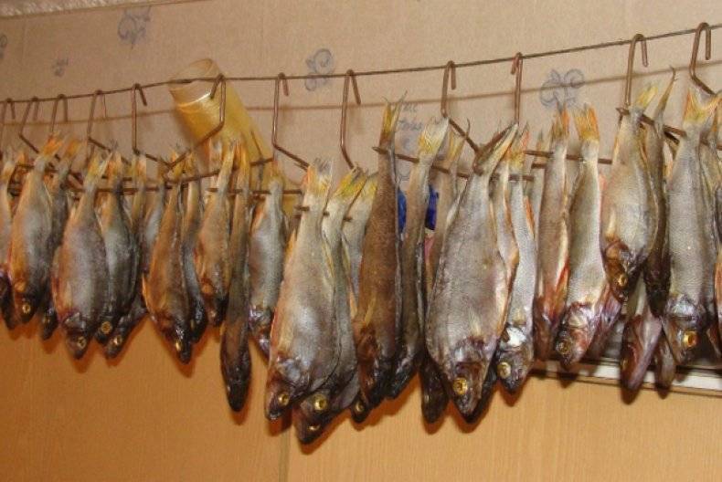 Как хранить вяленую рыбу в домашних условиях, сушеную рыбу, как хранить, чтобы не пересохла