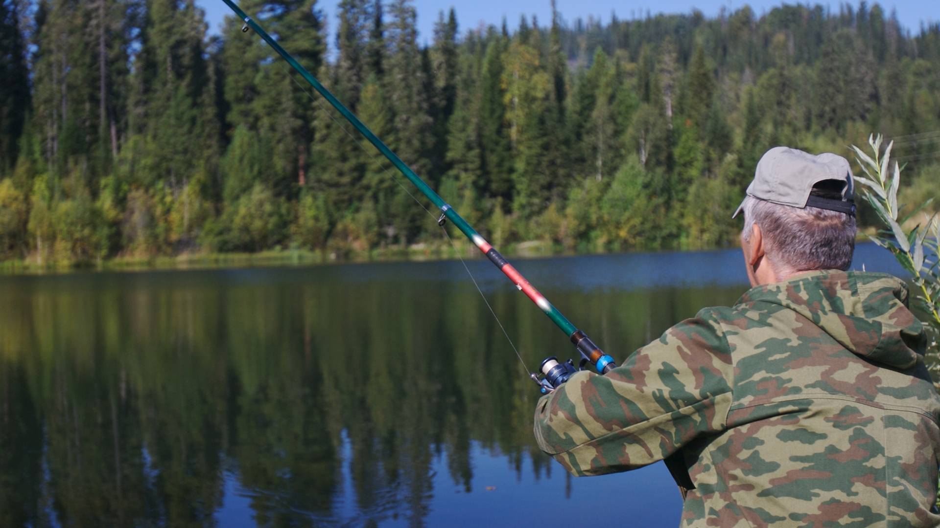 Рыбалка на озере — снасти, техника, выбор места, особенности