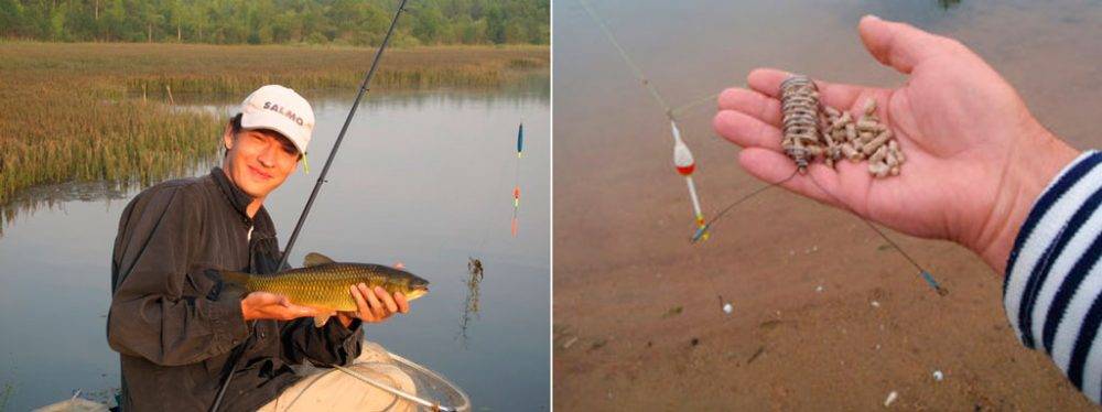 Рыбалка в мае: как ловить, какая рыба клюет, используемые снасти