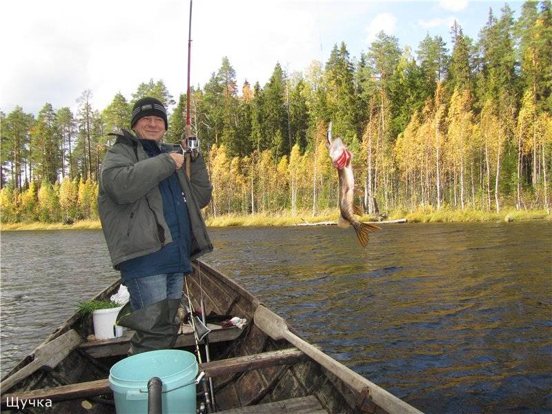 Рыбалка в карелии дикарем - видео, отзывы, лучшие места для ловли