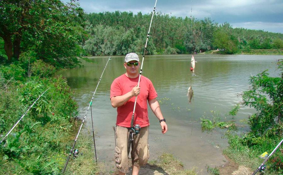 Кубань (река). рыбалка на реке кубани :: syl.ru