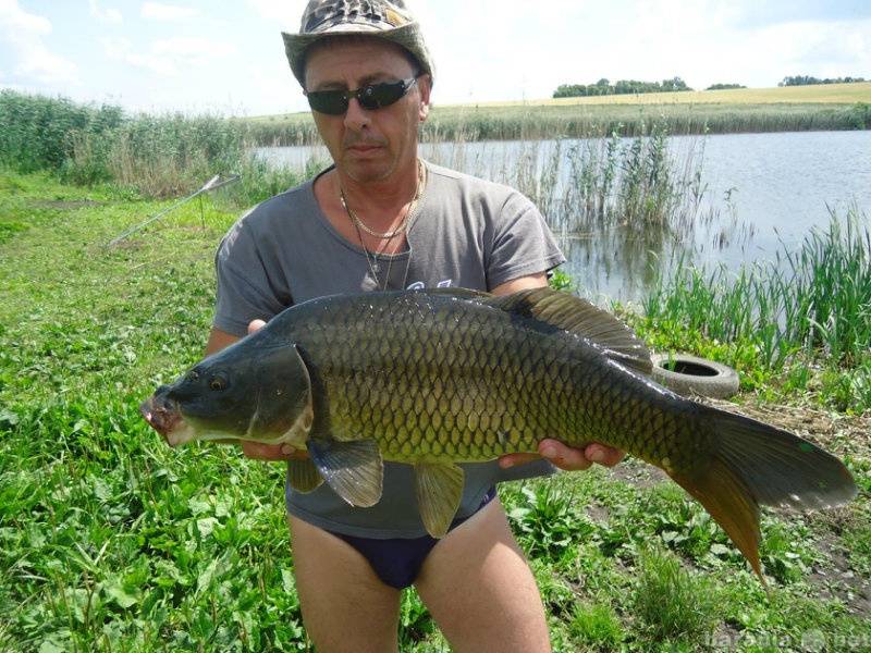 Рыбалка в кузькино белгородская область - уловистые пруды