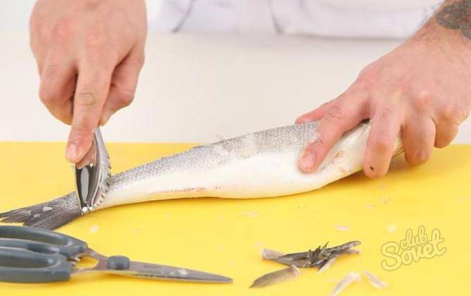 Как чистить рыбу правильно? разумные советы :: syl.ru