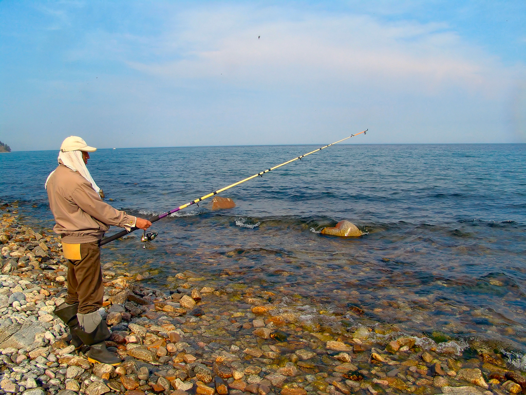 Наживка для ловли рыбы в черном море