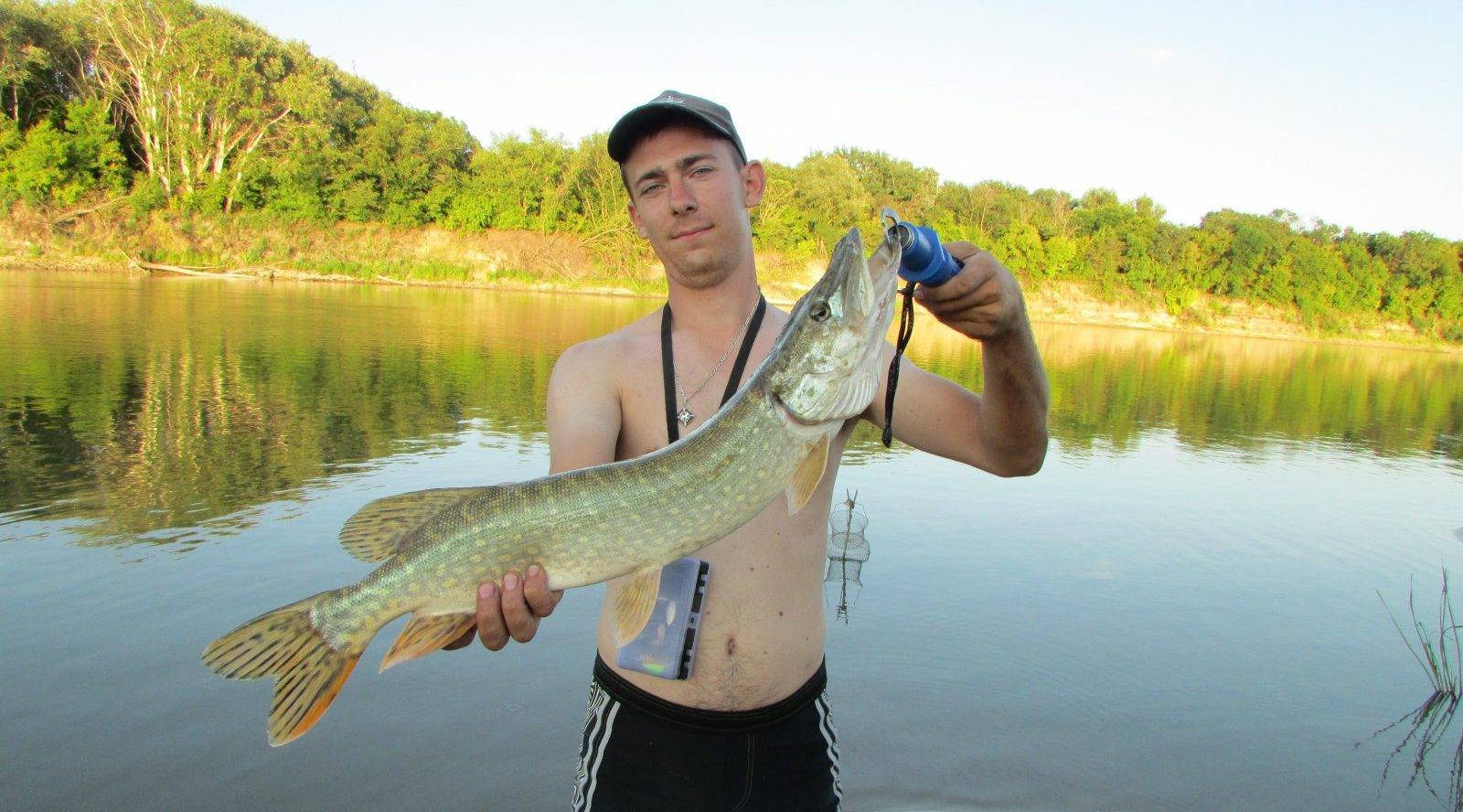 Рыбалка в ростовской области