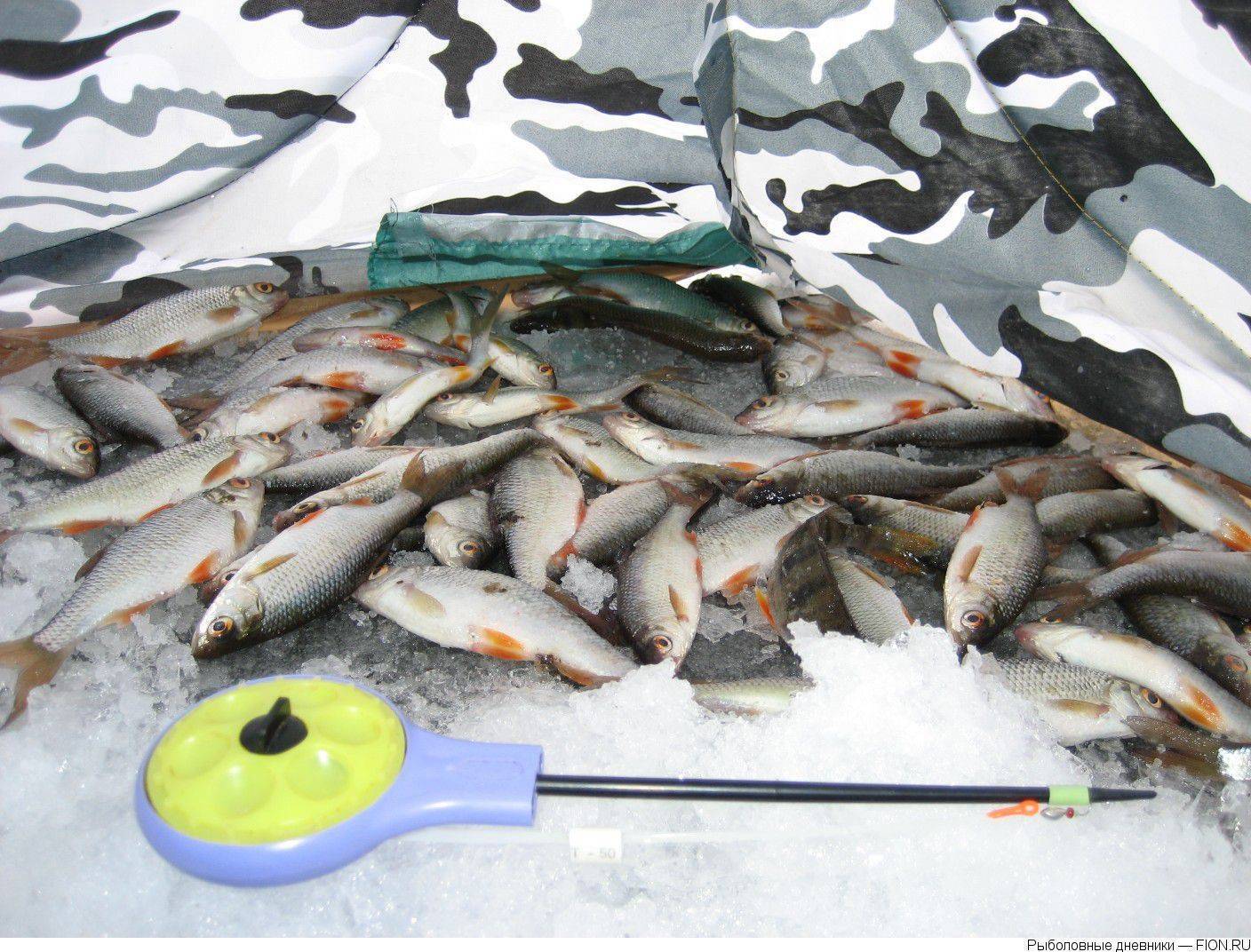 Палтные водоемы для рыбалки на территории рыбхоза шатурский