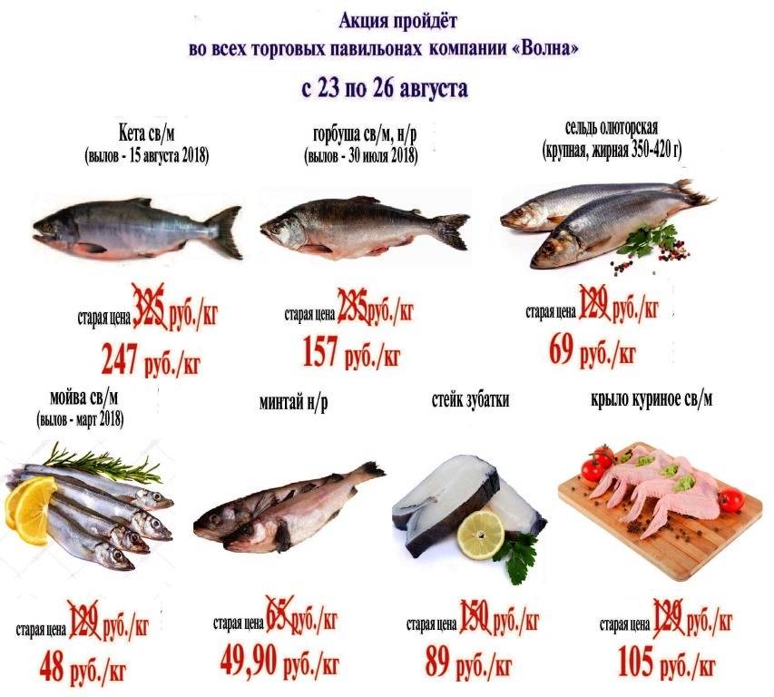Жирные сорта рыбы: классификация по жирности
