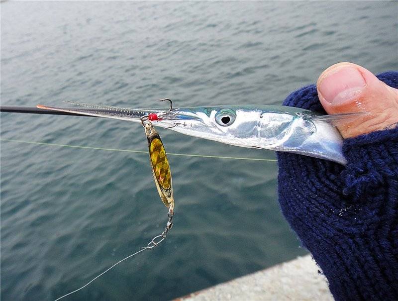 Рыбалка на черном море с берега - оснастка видео, приманка, зимняя ловля