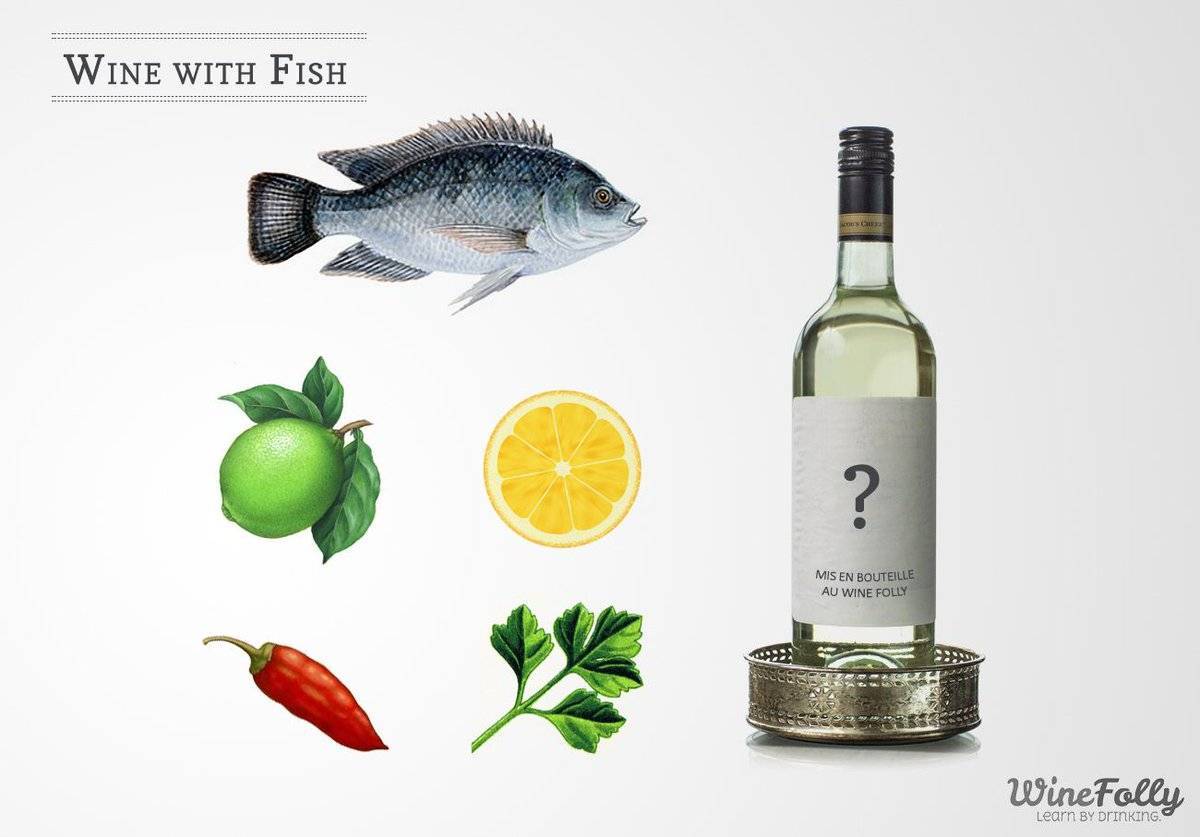 Какое вино подают к рыбе, красное или белое, что лучше подходит к лососю - как выбрать, что пить