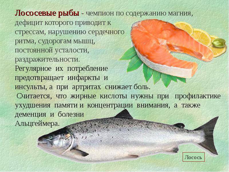 Нерка: польза и вред, что за рыба, чем лучше кижуча, форели и сёмги