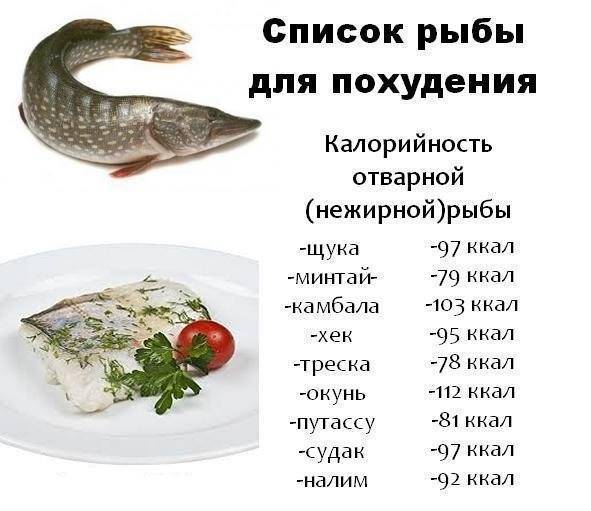 Топ-10 лучших видов нежирной и недорогой рыбы для похудения