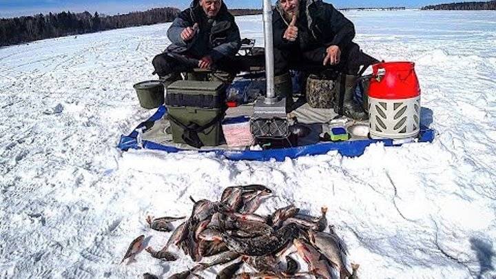 Зимняя рыбалка на леща: способы ловли леща зимой со льда, поиск и выбор прикормки