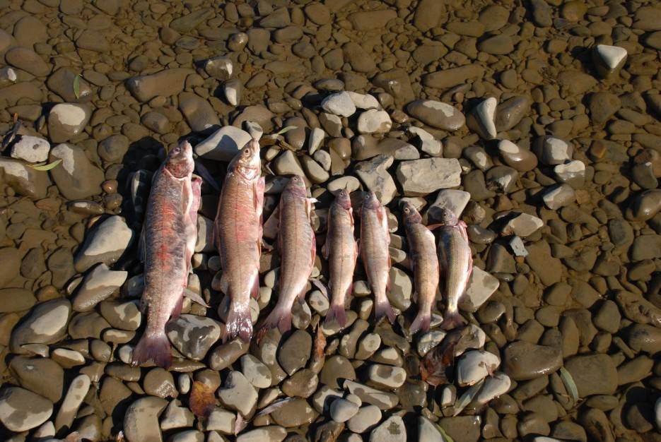 Рыбалка в Приморье и Приморском крае