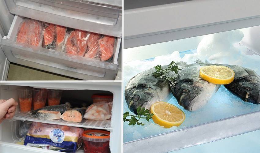 Как хранить копченую рыбу в домашних условиях правильно