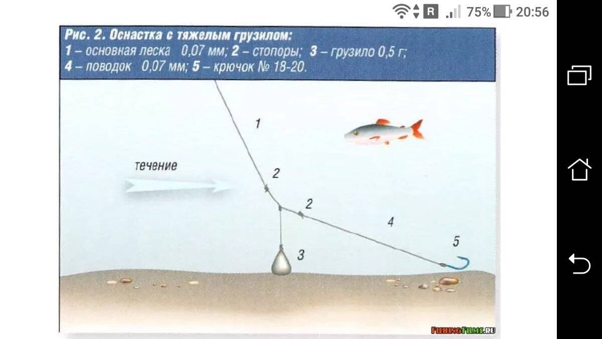 ᐉ ловля судака на тюльку - ✅ ribalka-snasti.ru