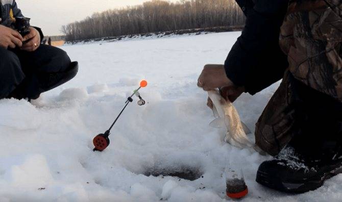 Ловля леща зимой на комбайн и изготовление рыболовной снасти – news-n.ru