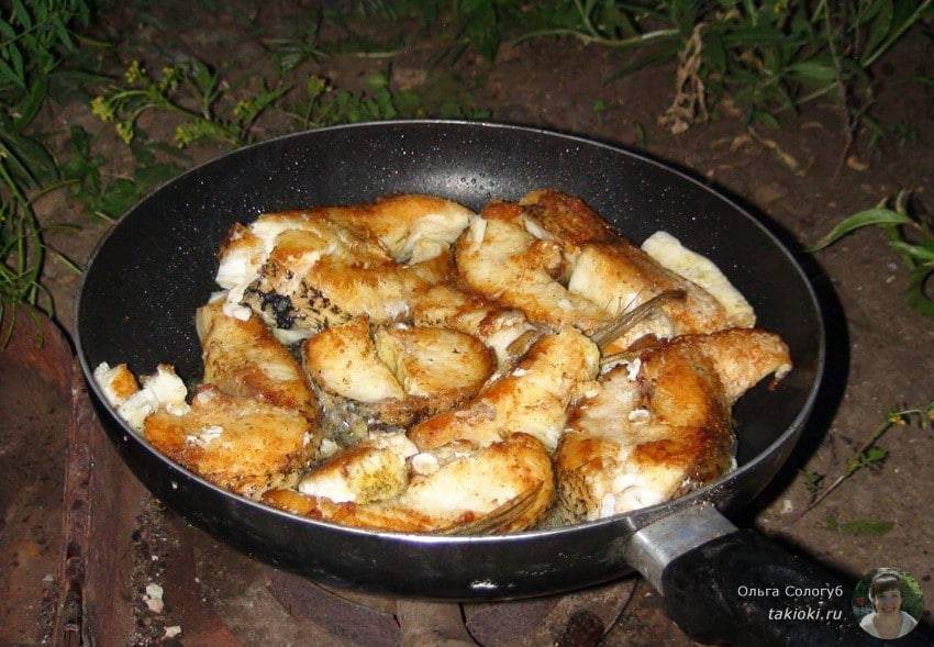 Филе щуки на сковороде — пошаговый рецепт с фото