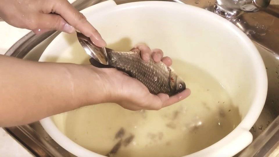Способы для чистки рыбы от чешуи: быстро и правильно