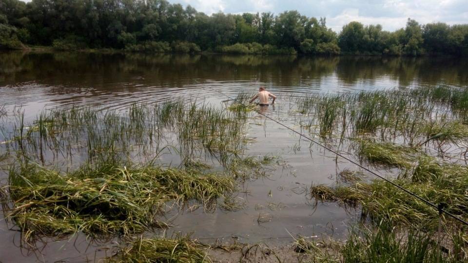 Рыбалка на Дону в Воронежской области
