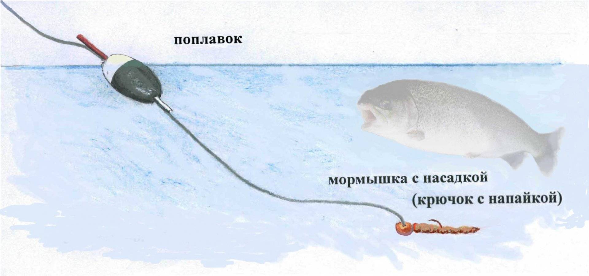Ловля форели зимой: как правильно и на что ловить рыбу со льда, снасти и приманки