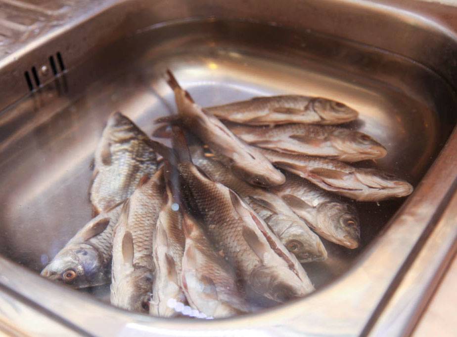 Как вымочить соленую рыбу — как убрать соль из рыбы в домашних условиях