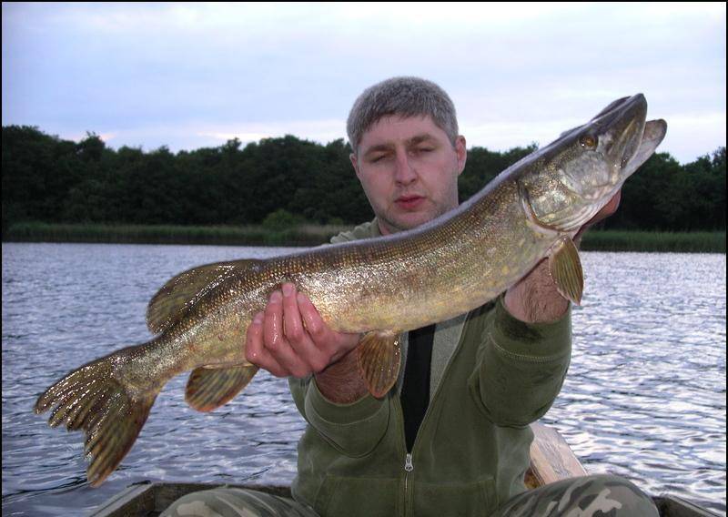 Большая рыбалка в карагандинской области: популярные водоемы региона, виды рыбы