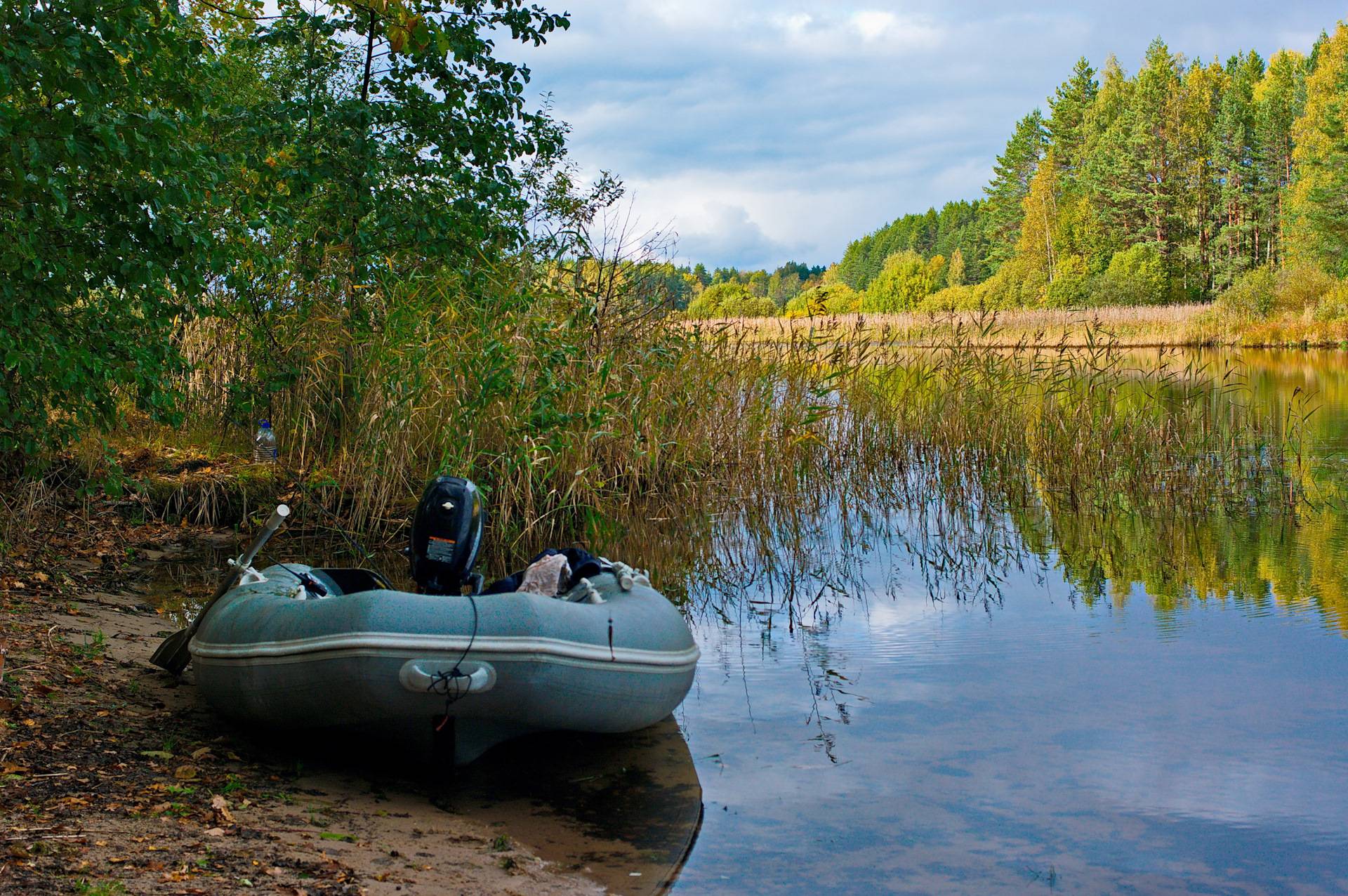 Что и как ловить на селигере - рыбалка в россии и по всему миру - fishers-spb.ru