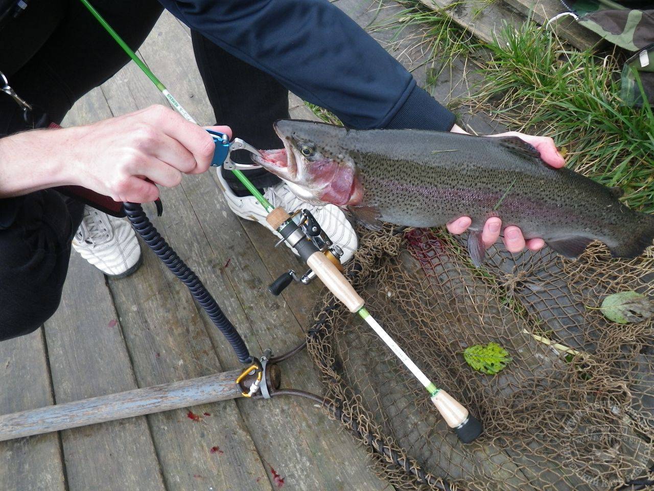 Рыбалка в ленинградской области платно
