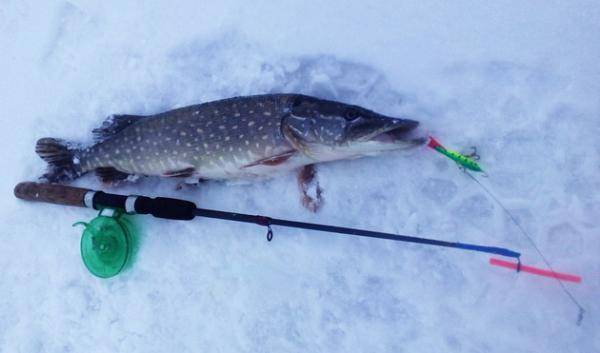 Рыбалка на балансир зимой: зимняя удочка для балансира, как сделать своими руками, как правильно оснастить удочку балансиром, их виды и рейтинг