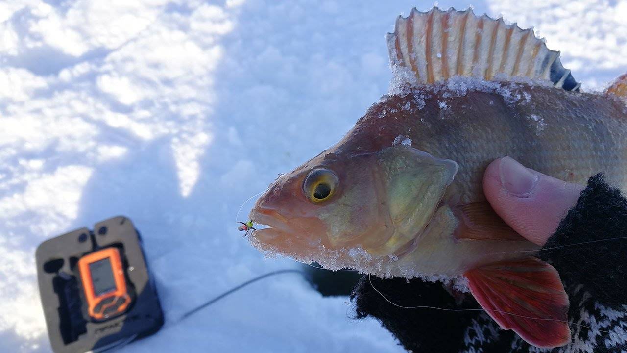 Зимняя ловля в глухозимье. особенности рыбалки.