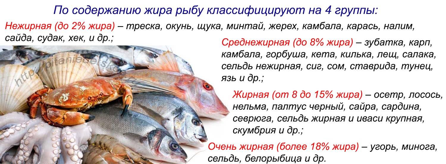 Есть рыбу каждый день - результаты. топ 10 самых полезных и доступных сортов рыбы