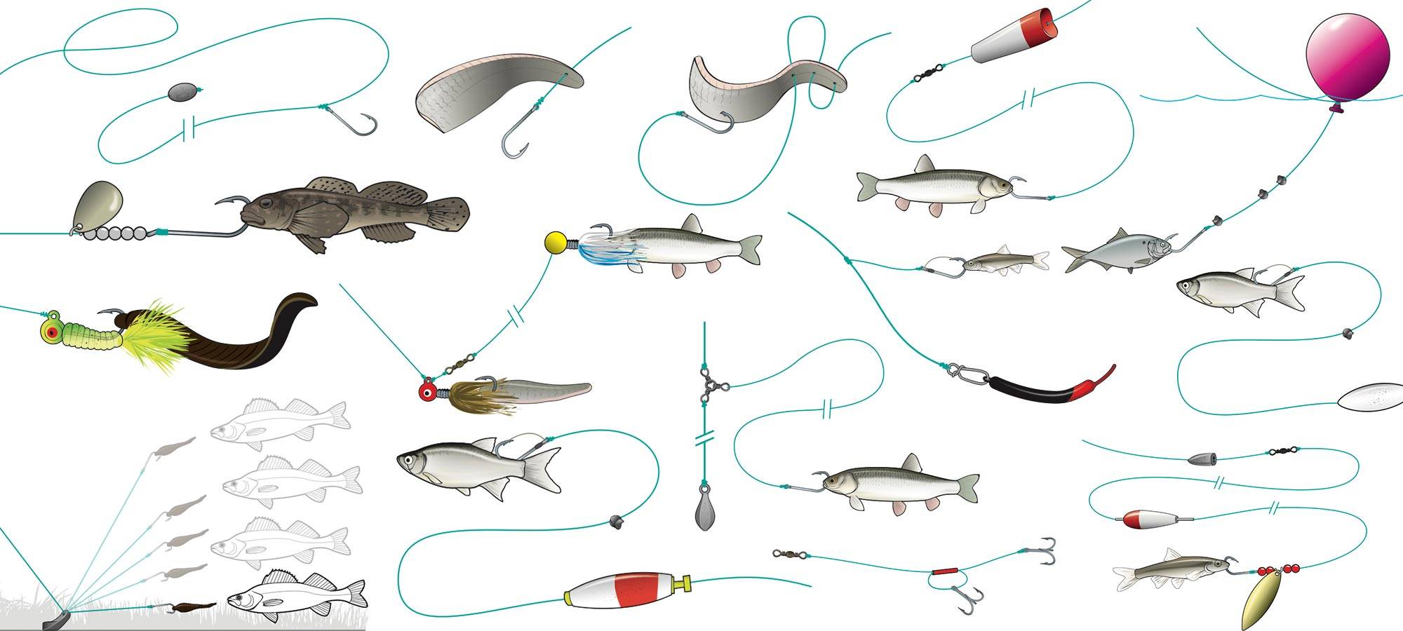 Ловля морского угря на спиннинг: приманки, способы и места для ловли рыбы