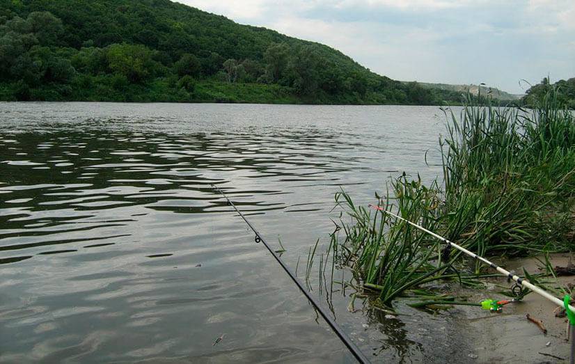Лучшие места для отдыха и рыбалки в белгородской области рыбалка в белгородской области