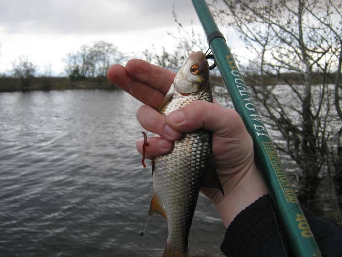 Рыбалка в апреле разных видов рыб: особенности апрельской ловли