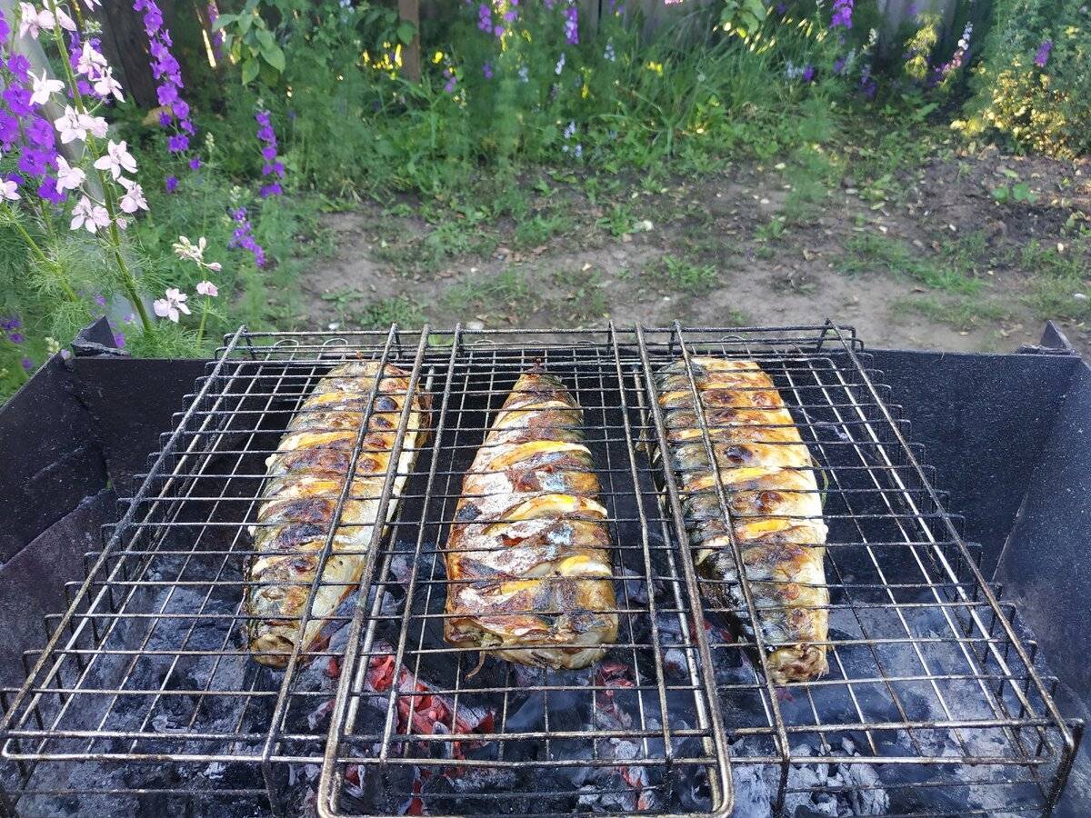 Шашлык из рыбы на мангале. какую рыбу выбрать и как приготовить шашлык из рыбы