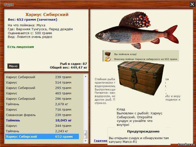ᐉ большой таймень - место для рыбака - ✅ ribalka-snasti.ru
