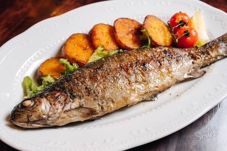 Форель радужная: как приготовить вкусные блюда из рыбы