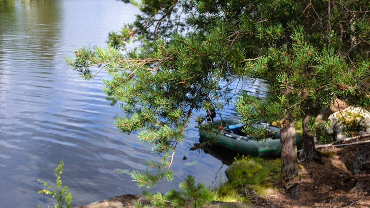 Озеро вуокса — место для рыбака