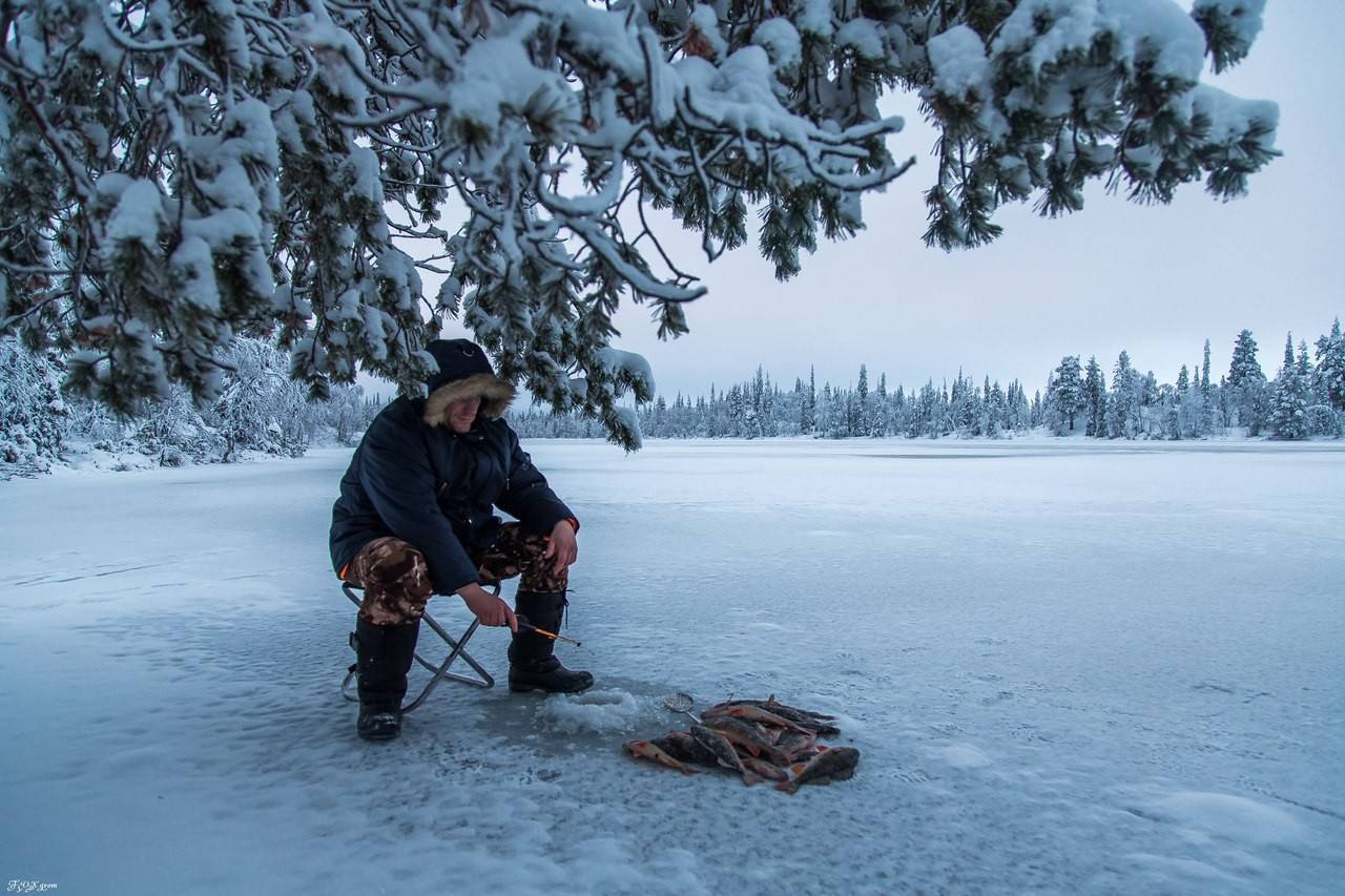 Рыбалка в сибири 2022: летом, зимой, лучшие места
