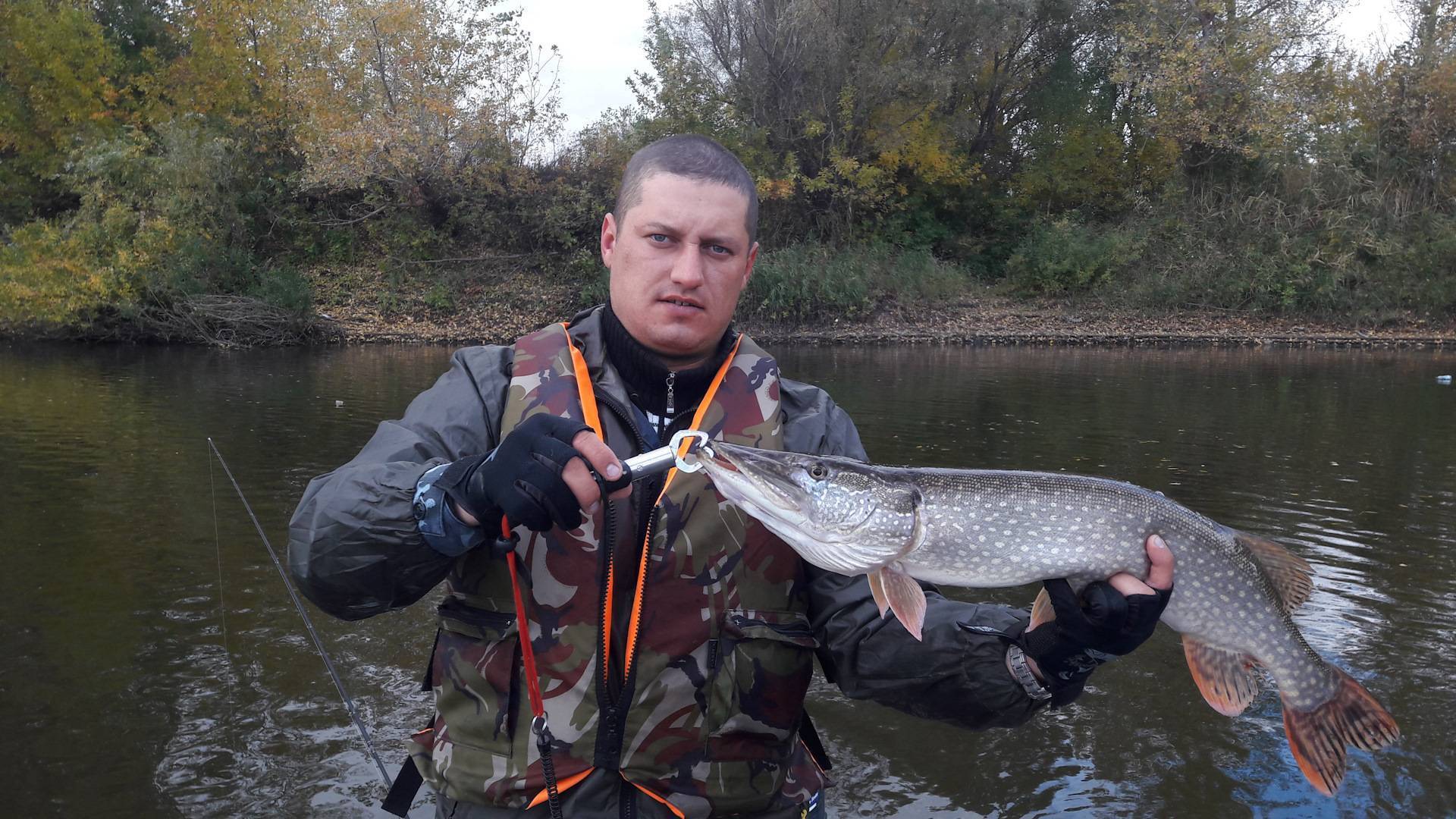 Рыбалка на дону в ростовской области | рыбалка на дону