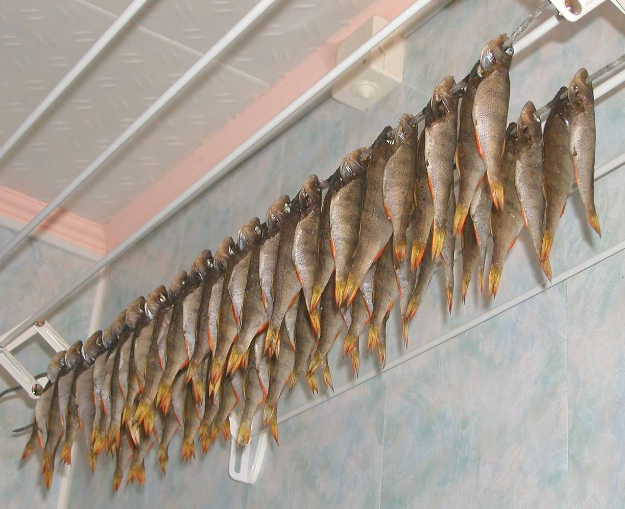 Как засушить рыбу в домашних условиях
