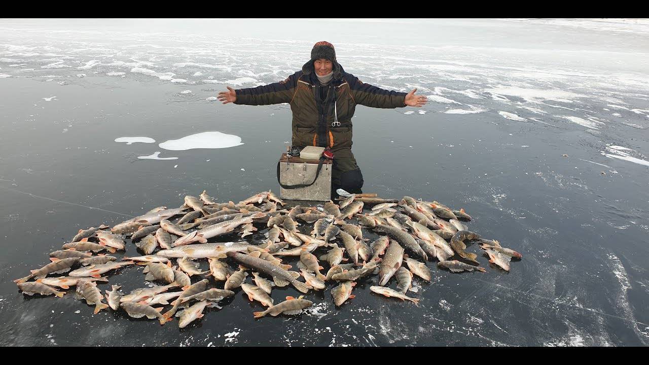 Зимняя рыбалка в сибири – это сибирь!