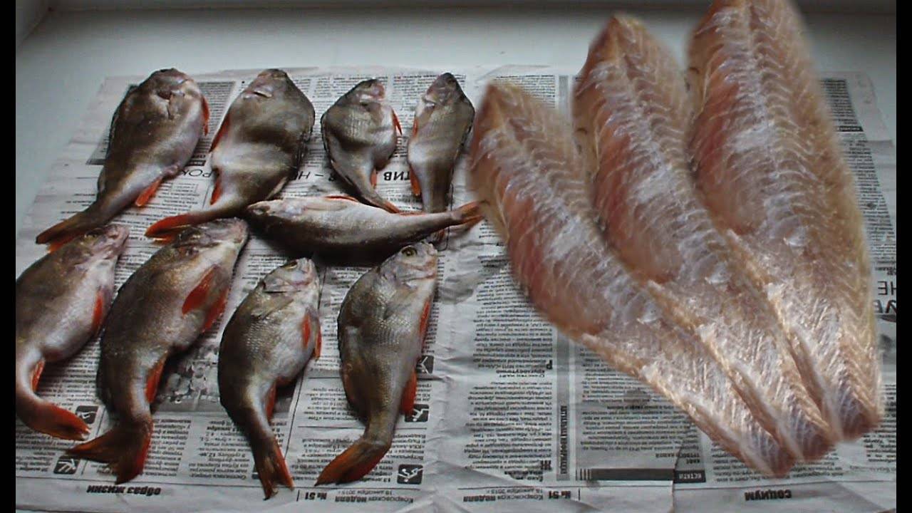 Как вялить рыбу в домашних условиях – рецепт засолки, этапы и способы хранения