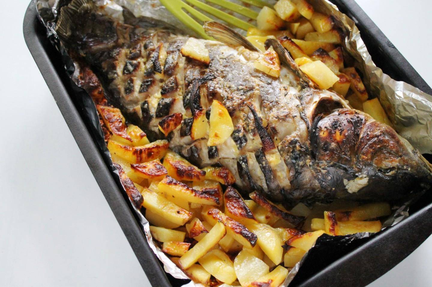 Карп в духовке – 9 рецептов как вкусно запечь рыбу