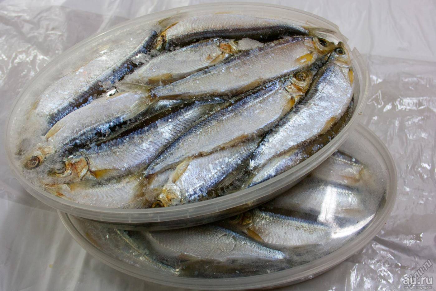 Рыба тугун или тугунок - фото, среда обитания, техника ловли и рецепты приготовления