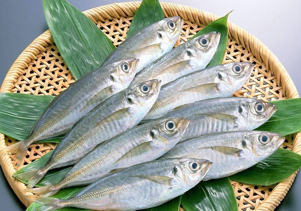 Рыба лобань: как и где ловить, вкусные рецепты, польза и вред