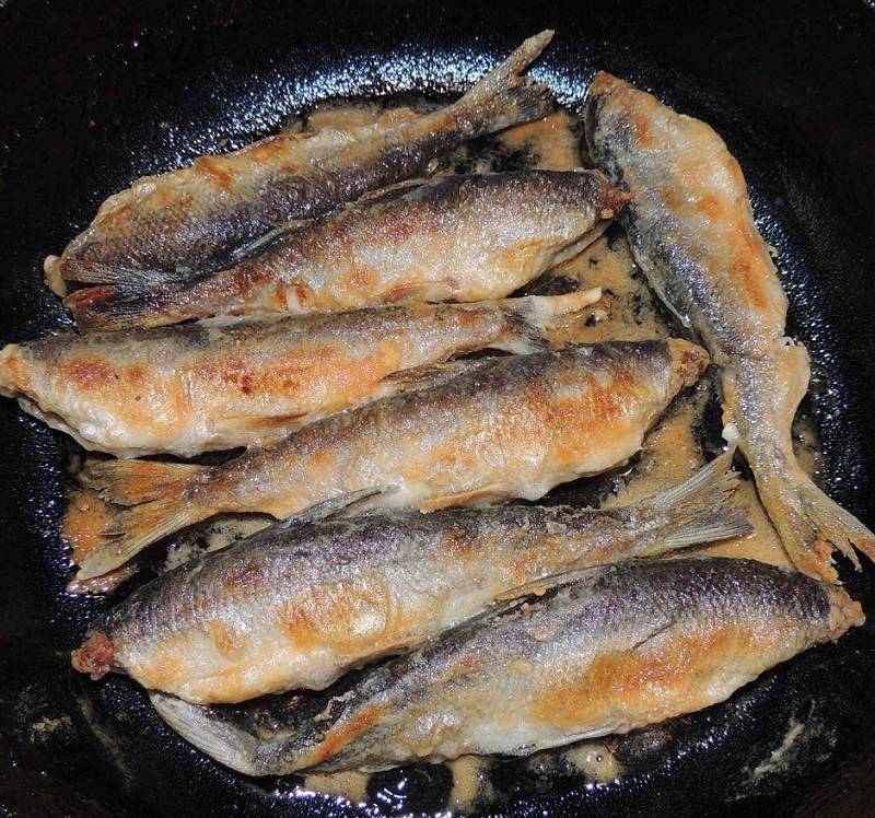Как пожарить речную рыбу на сковороде — сколько времени и как правильно жарить