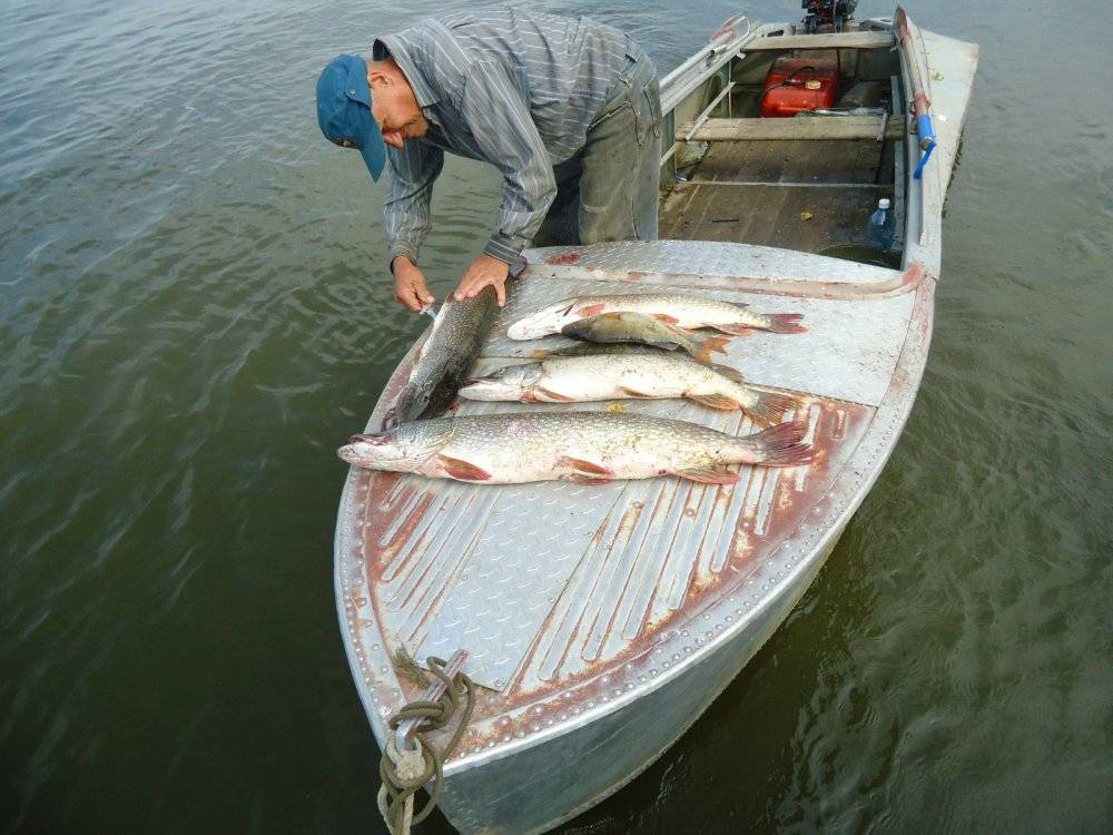 Рыбалка на реке томь | с удочкой