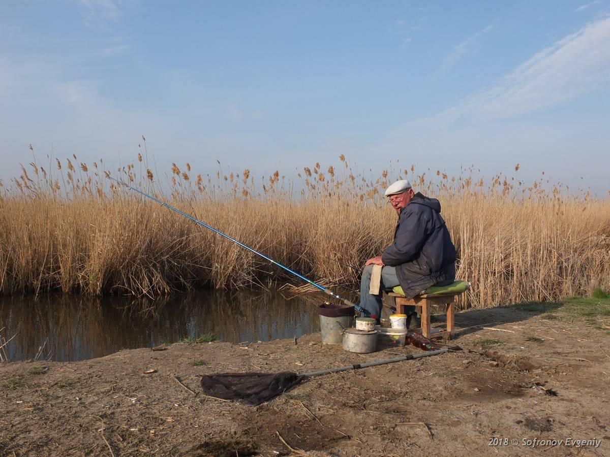 Рыбалка в карагандинской области: лучшие места для ловли, советы рыболовов из кз